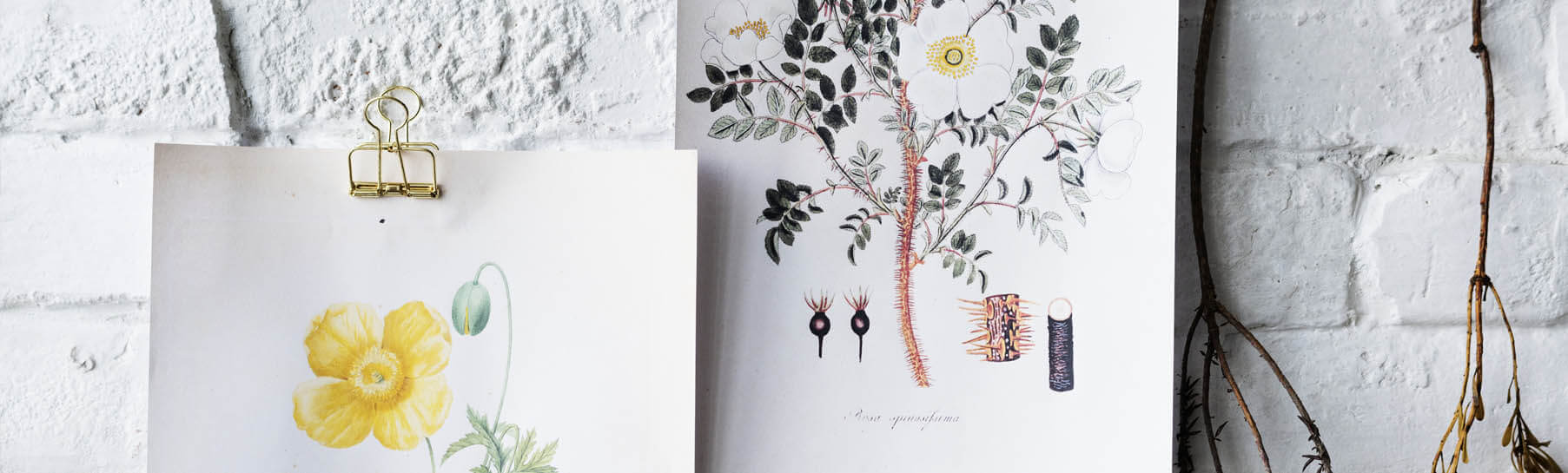 From Blank to Beautiful: Mastering Paintings and Wall Art