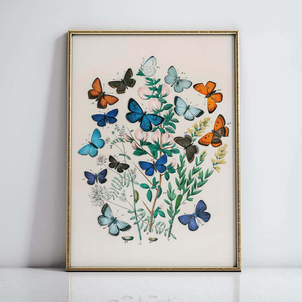 Butterfly Wall Decor