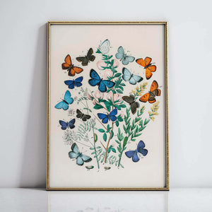 Butterfly Wall Decor