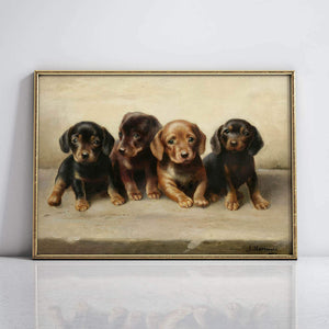 Four dachshund puppies