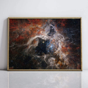 Cosmic Tarantula