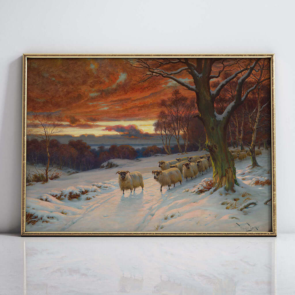 Sunset and Sheep