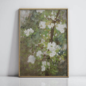White Blossom