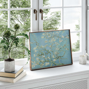 Almond Blossom