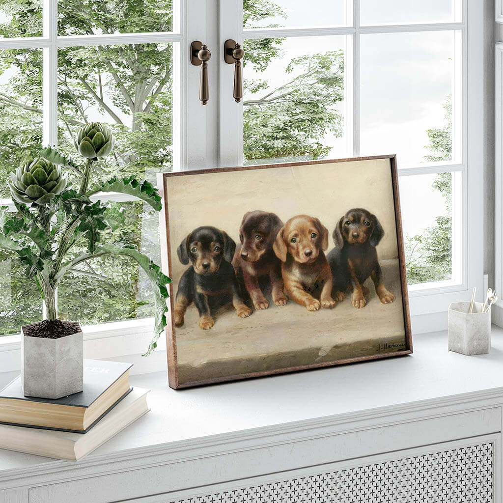 Four dachshund puppies