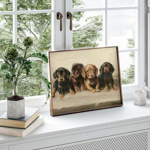 Four dachshund puppies