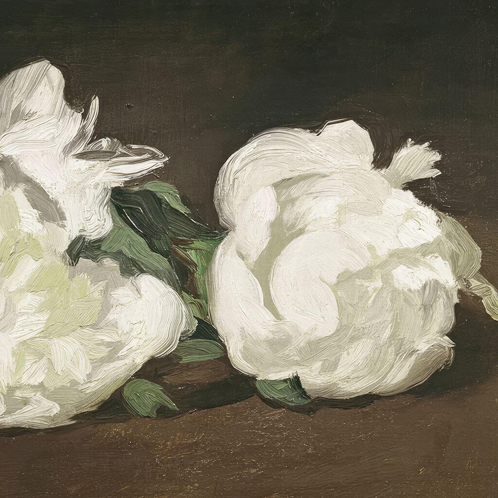 Branch Of White Peonies