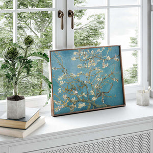 Almond Blossom