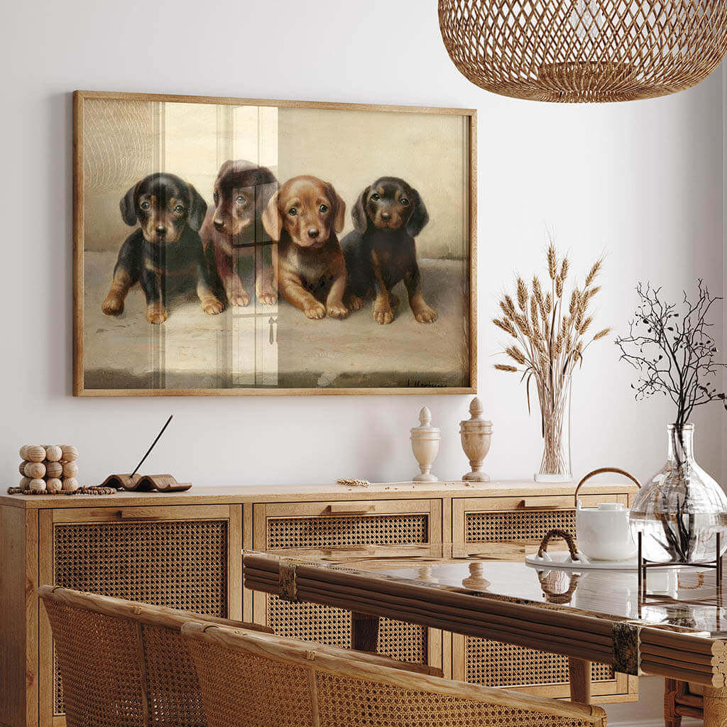 Four dachshund puppies