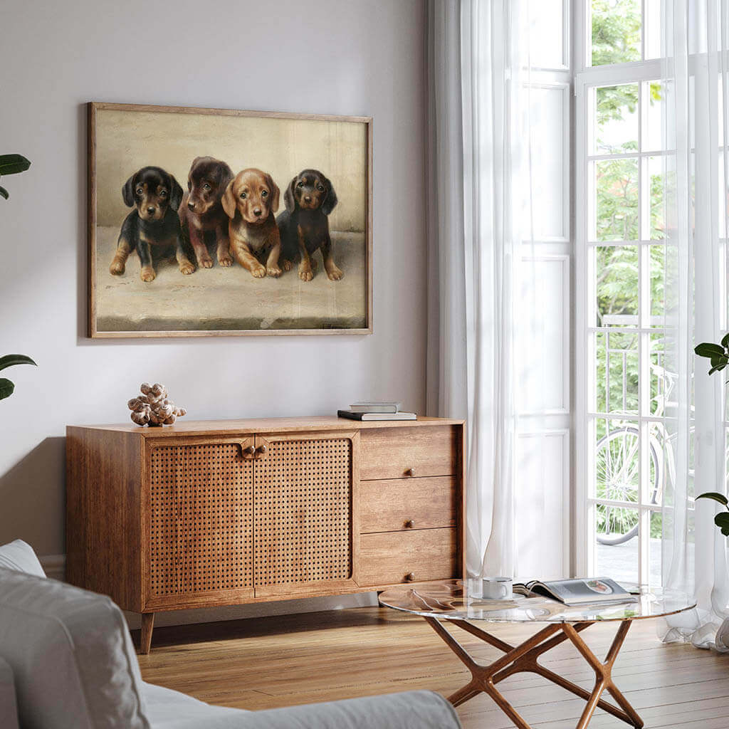 Four dachshund puppies