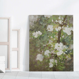White Blossom