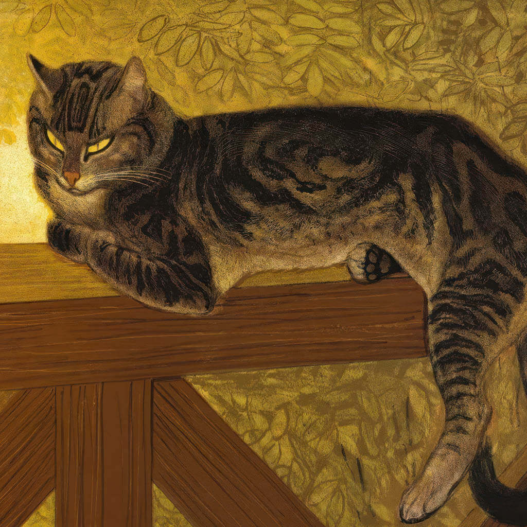 Summer cat on the railing