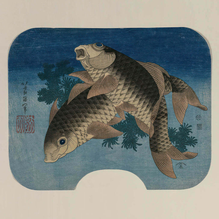 Carp Swimming by Water Weeds