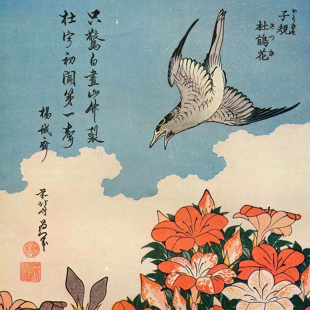 Cuckoo and azaleas