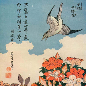 Cuckoo and azaleas