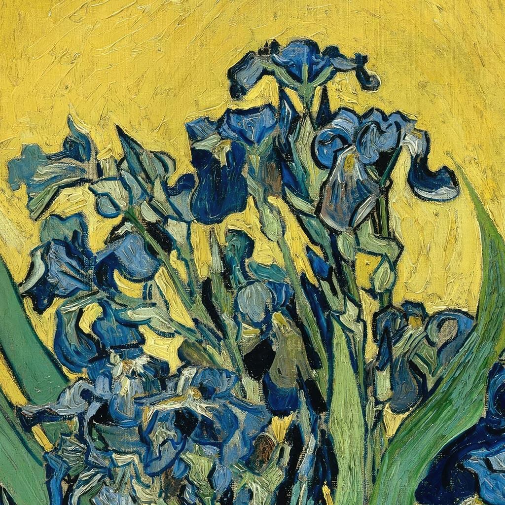 Irises Vase Yellow Floral
