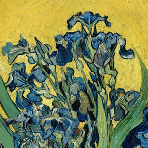 Irises Vase Yellow Floral