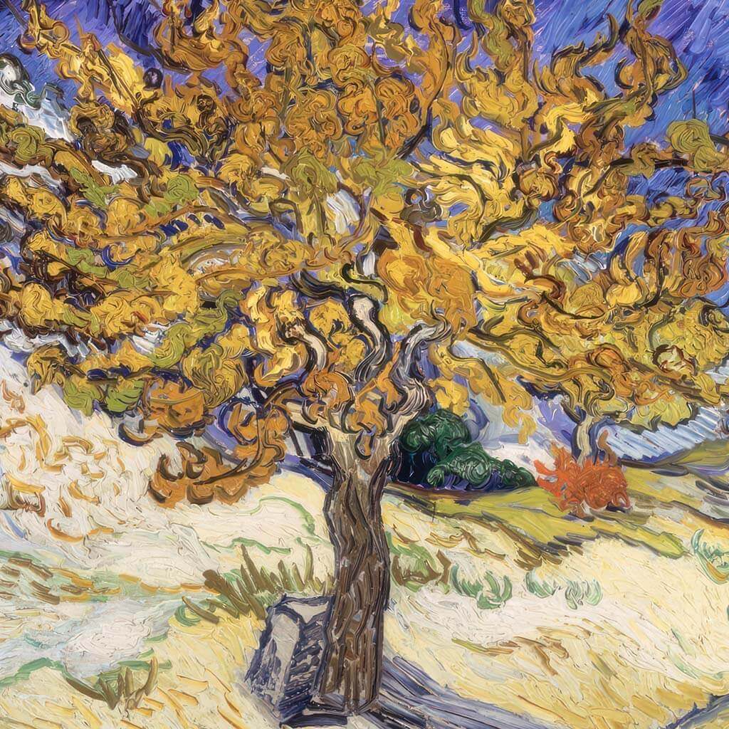 Mulberry Tree