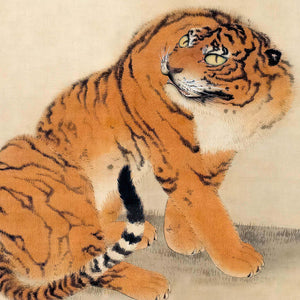 Sitting Tiger