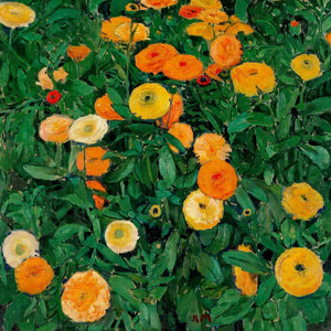 Marigolds