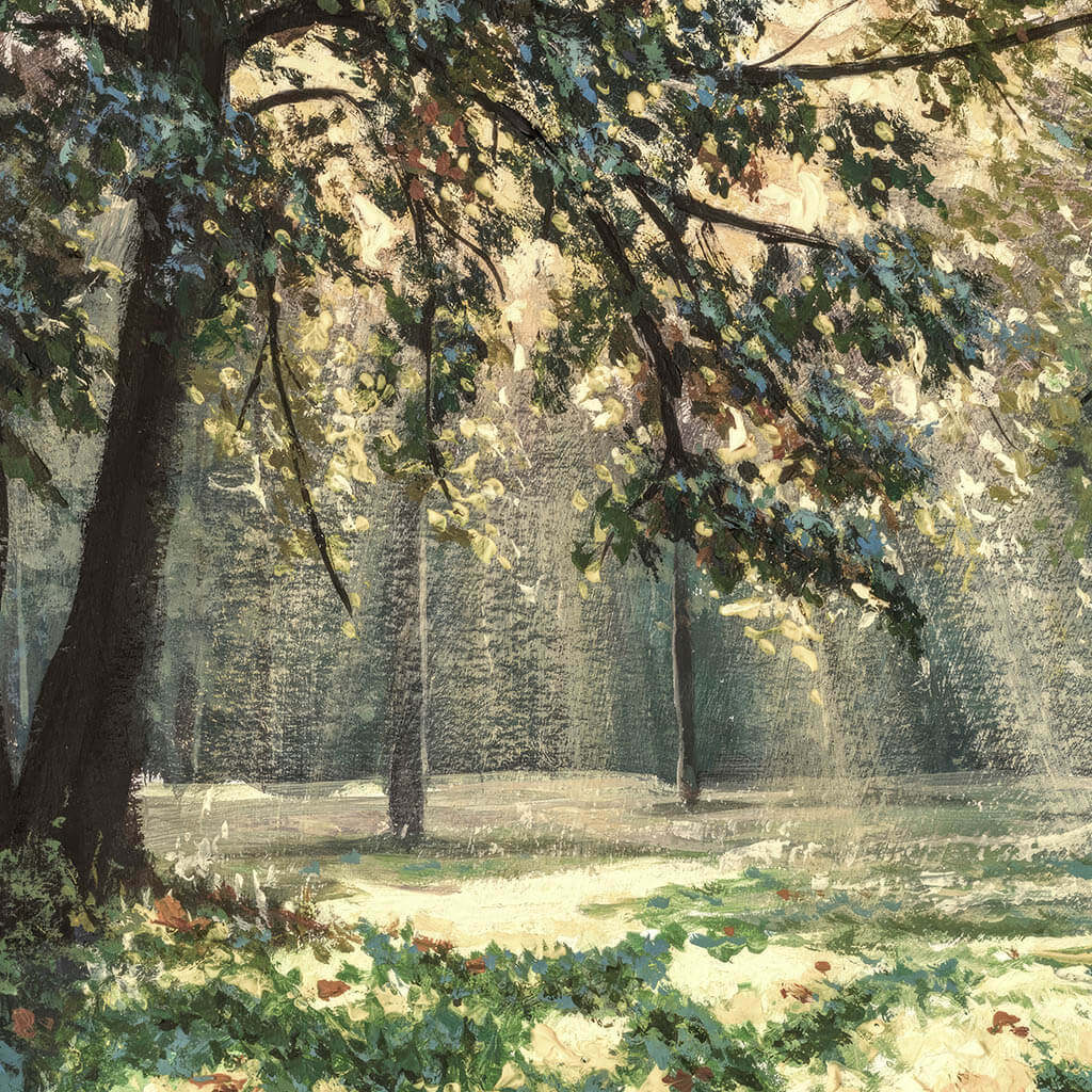Sunlight in the Trees