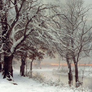 Winter Evening