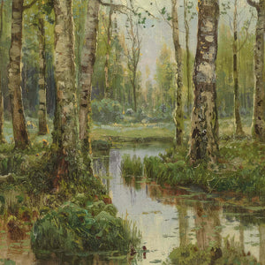 A Stream Running Through a Birch Wood