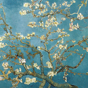 Almond Blossom