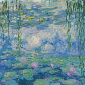 Water Lilies