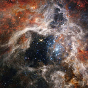 Cosmic Tarantula