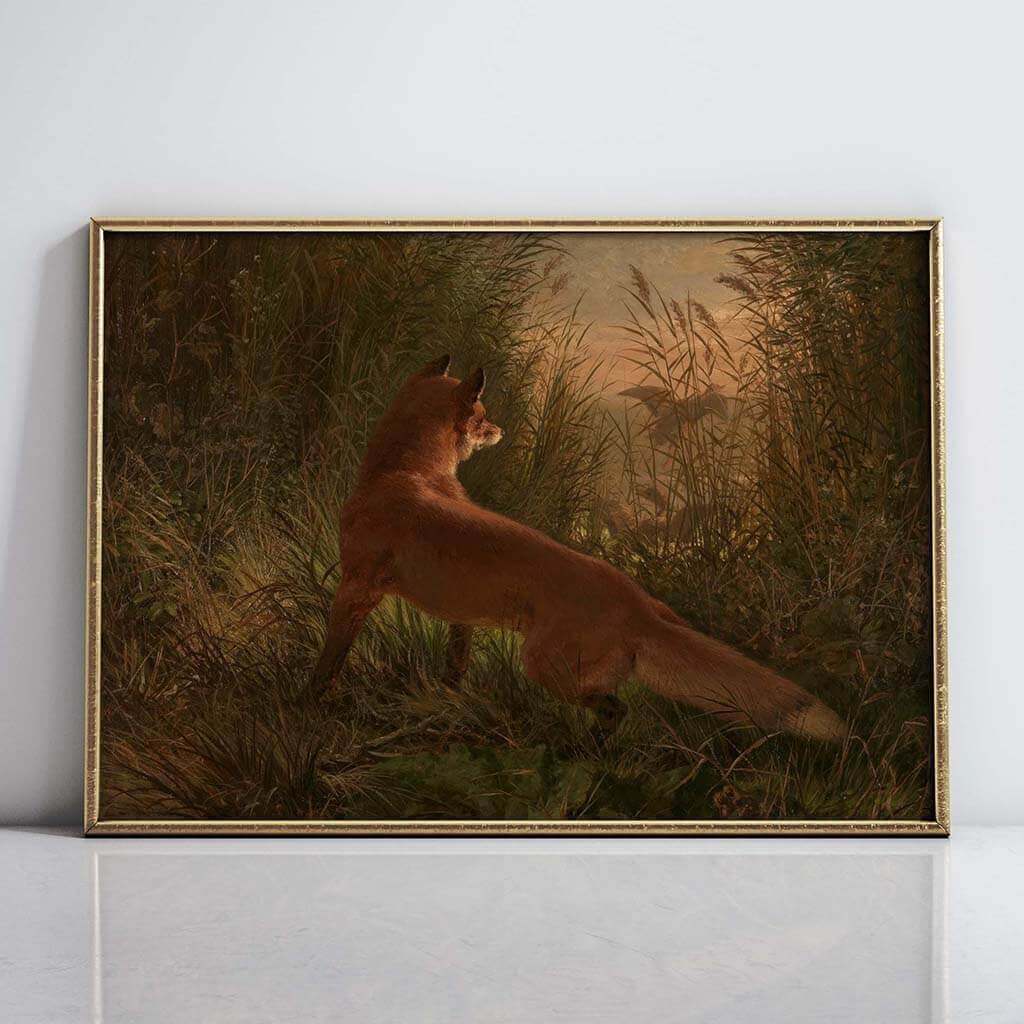 A Fox