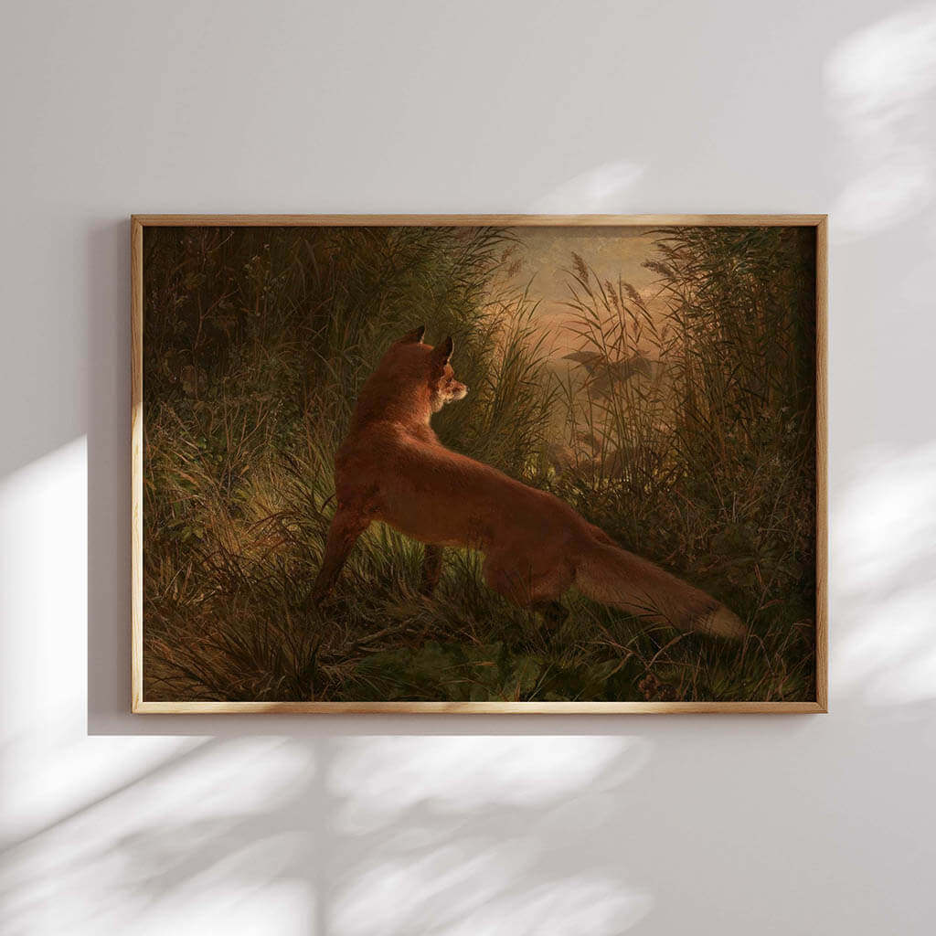 A Fox