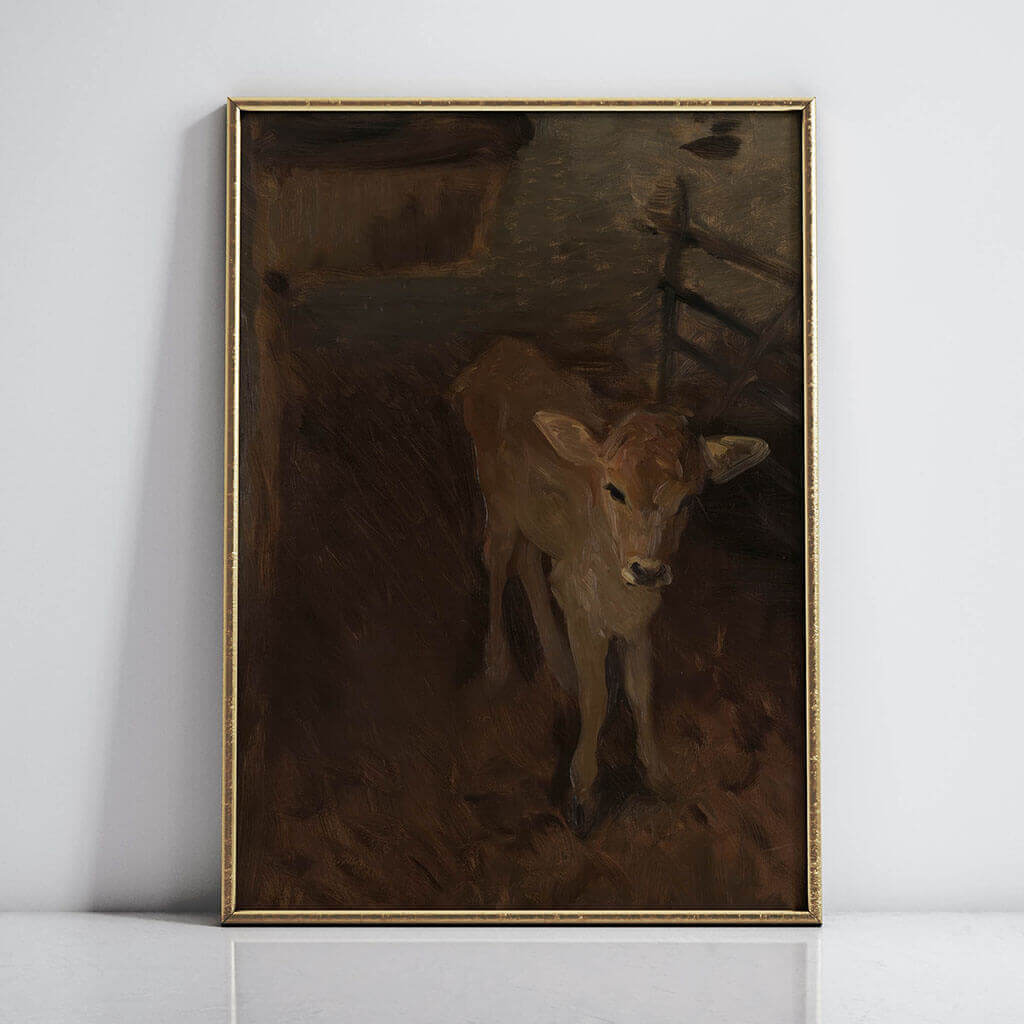 A Jersey Calf