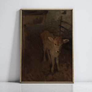 A Jersey Calf