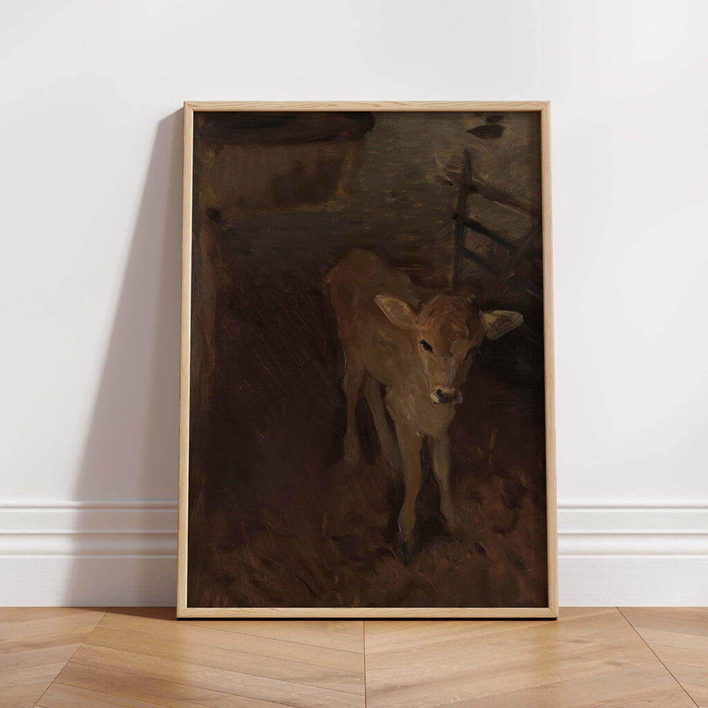 A Jersey Calf