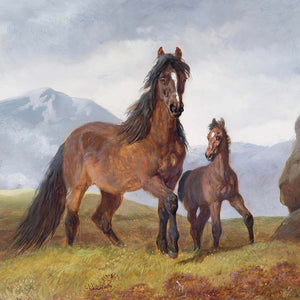 A Welsh Mountain Mare and Foal