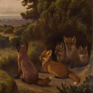 A litter of Fox Cubs