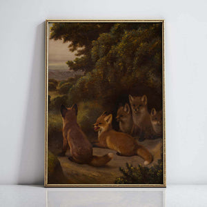 A litter of Fox Cubs