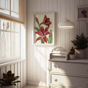 Amaryllis