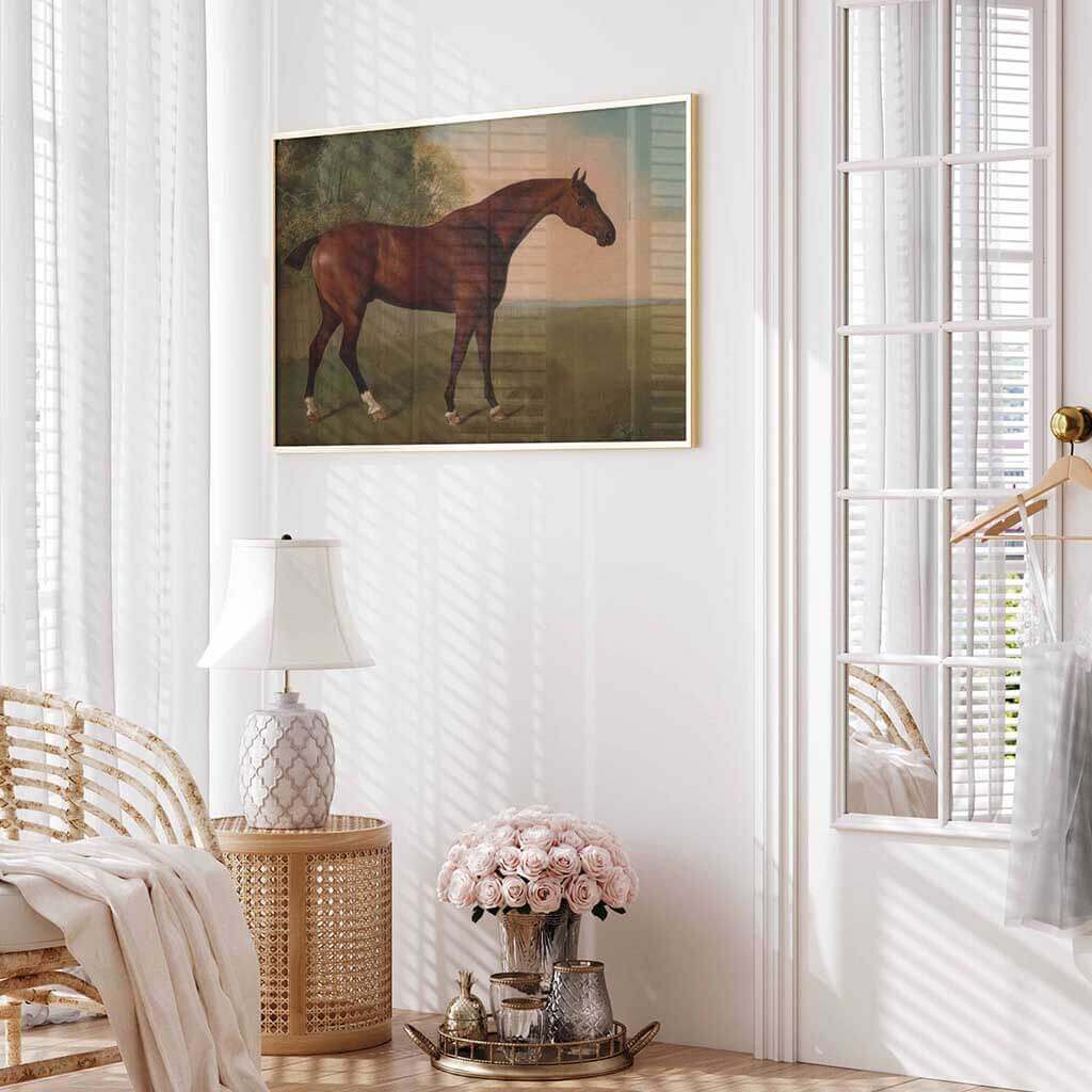 Bay Horse In A Field
