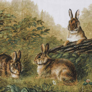 Bunnies