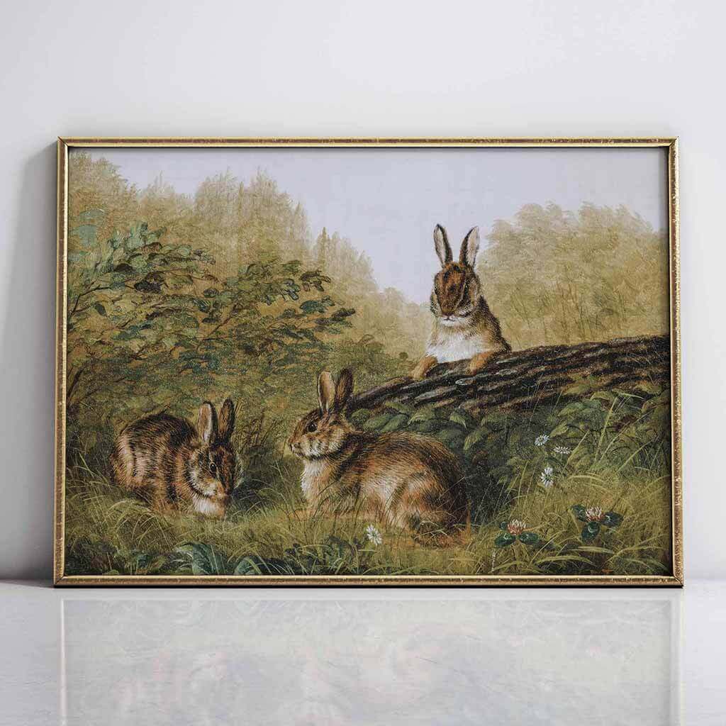 Bunnies