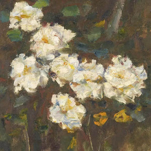 Camellia