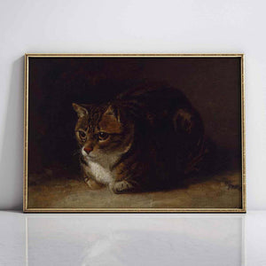 Cat's Gaze