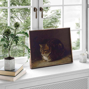 Cat's Gaze