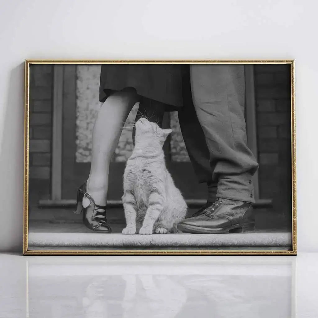 Cat and Couple