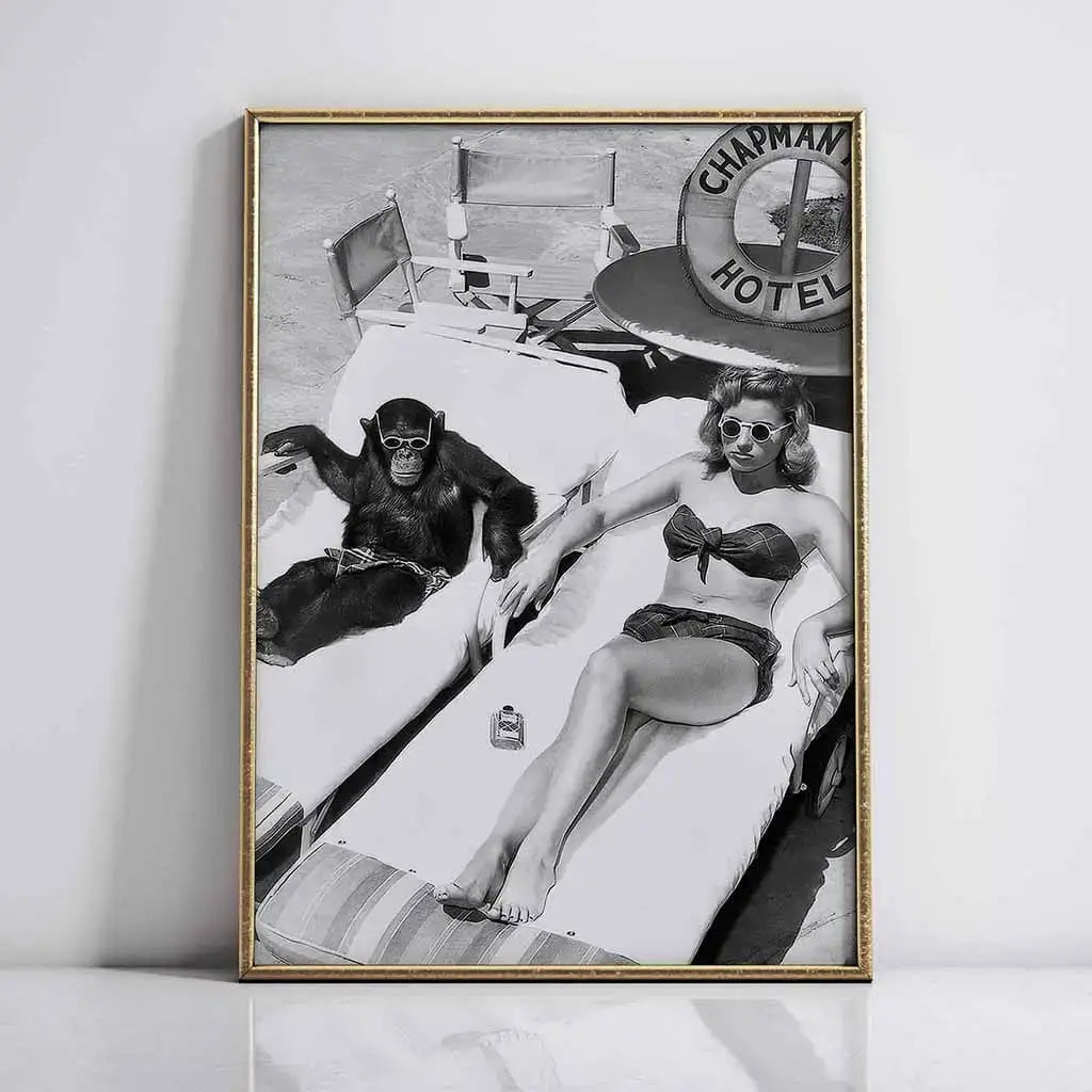 Chimpanzees and sunbathing women