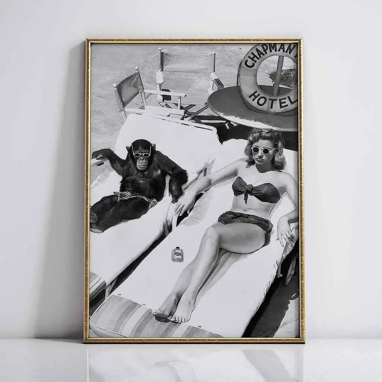 Chimpanzees and sunbathing women