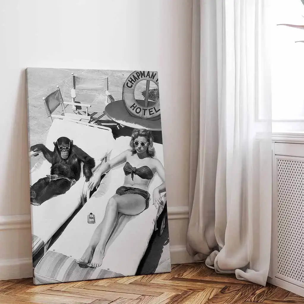 Chimpanzees and sunbathing women