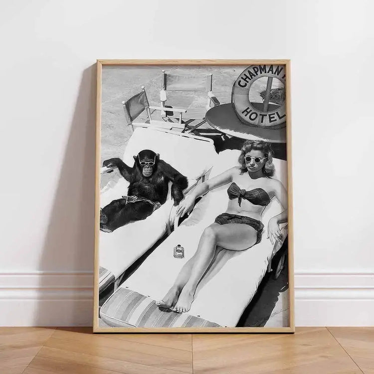 Chimpanzees and sunbathing women